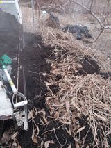 팜모닝 3월 농사 계획 같이해요·참여글 게시글 이미지