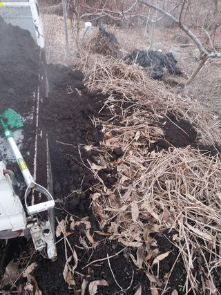 써니정원맘님의 3월 농사 계획 같이해요 · 참여글 작성글 사진