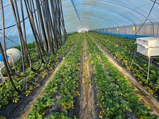 블루베리12300님의 3월 농사 계획 같이해요 · 참여글 작성글 사진