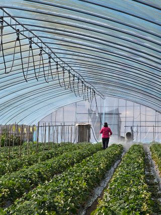 블루베리12300님의 3월 농사 계획 같이해요 · 참여글 작성글 사진