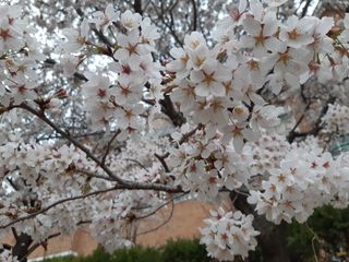 박주호 님의 3월 농사 계획 같이해요 · 참여글 작성글 사진