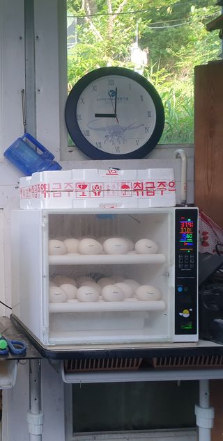 김순필수방님의 팜모닝 · 출석 작성글 사진