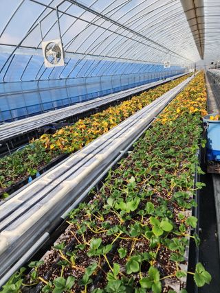 김장수님의 3월 농사 계획 같이해요 · 참여글 작성글 사진