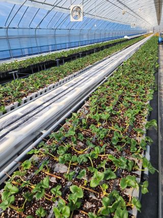 김장수님의 3월 농사 계획 같이해요 · 참여글 작성글 사진