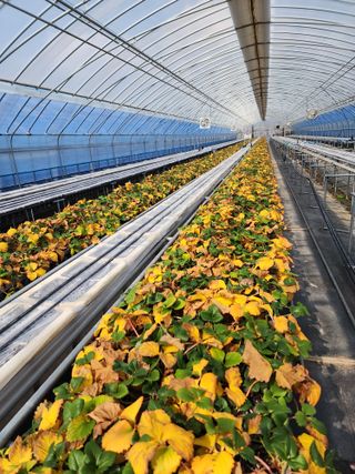 김장수님의 3월 농사 계획 같이해요 · 참여글 작성글 사진