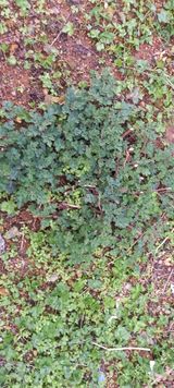 팜모닝 3월 농사 계획 같이해요·참여글 게시글 이미지