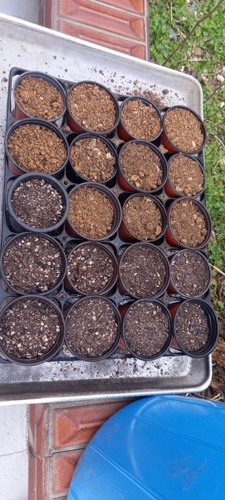 사과15865김도화님의 3월 농사 계획 같이해요 · 참여글 작성글 사진