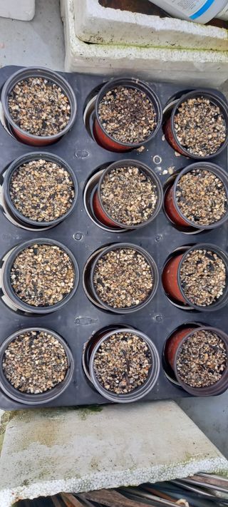 사과15865김도화님의 3월 농사 계획 같이해요 · 참여글 작성글 사진