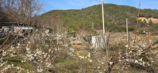 이길우님의 자유주제 · 자유게시판 작성글 사진