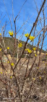 팜모닝 자유주제·자유게시판 게시글 이미지