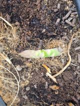 팜모닝 3월 농사 계획 같이해요·참여글 게시글 이미지