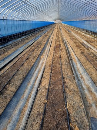 이정식님의 3월 농사 계획 같이해요 · 참여글 작성글 사진