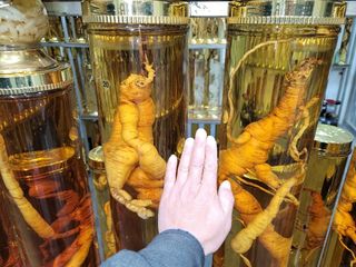 배추12035.부남님의 자유주제 · 자유게시판 작성글 사진