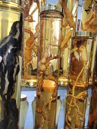 배추12035.부남님의 자유주제 · 자유게시판 작성글 사진