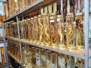 배추12035.부남님의 자유주제 · 자유게시판 작성글 사진