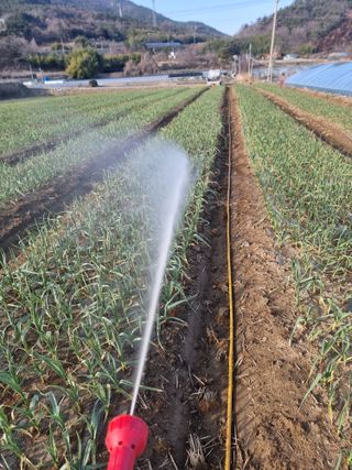 정영기대산축산농부♡님의 3월 농사 계획 같이해요 · 참여글 작성글 사진