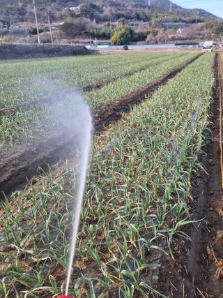 정영기대산축산농부♡님의 3월 농사 계획 같이해요 · 참여글 작성글 사진
