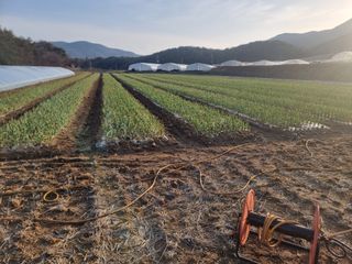 정영기대산축산농부♡님의 3월 농사 계획 같이해요 · 참여글 작성글 사진