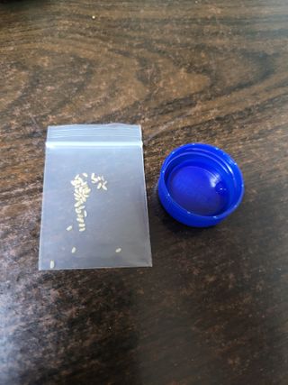 오아성님의 자유주제 · 자유게시판 작성글 사진