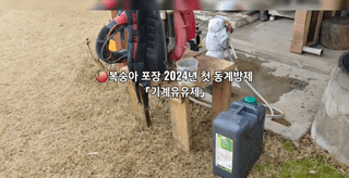 달맛햇복숭아농원님의 복숭아 · 자유게시판 작성글 사진