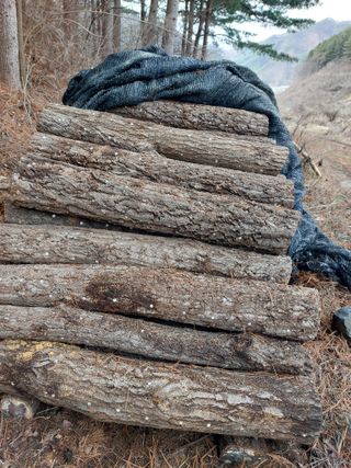 최종일님의 기타작물 · 자유게시판 작성글 사진