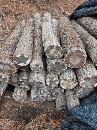 최종일님의 기타작물 · 자유게시판 작성글 사진