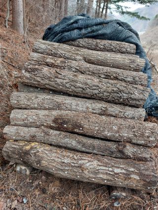 최종일님의 기타작물 · 자유게시판 작성글 사진