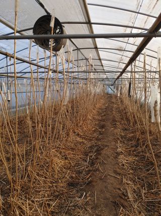 노오길님의 자유주제 · 자유게시판 작성글 사진