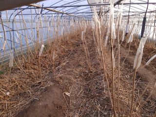 노오길님의 자유주제 · 자유게시판 작성글 사진