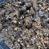 팜모닝 자유주제·자유게시판 게시글 이미지