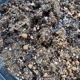 똘이엄마상추님의 자유주제 · 자유게시판 작성글 사진