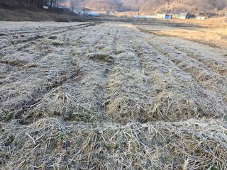 윤남교ㅡ안심농원님의 3월 농사 계획 같이해요 · 참여글 작성글 사진
