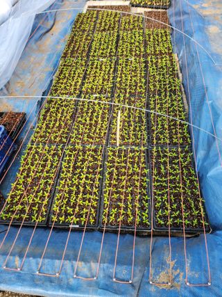 박기철님의 3월 농사 계획 같이해요 · 참여글 작성글 사진