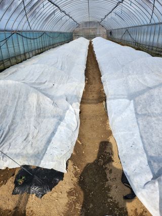 박기철님의 3월 농사 계획 같이해요 · 참여글 작성글 사진