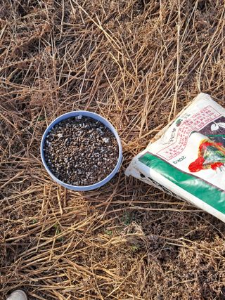 이경숙님의 3월 농사 계획 같이해요 · 참여글 작성글 사진