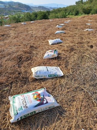 이경숙님의 3월 농사 계획 같이해요 · 참여글 작성글 사진