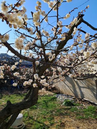 이경숙님의 3월 농사 계획 같이해요 · 참여글 작성글 사진