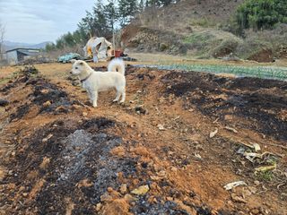 김세리님의 기타작물 · 자유게시판 작성글 사진