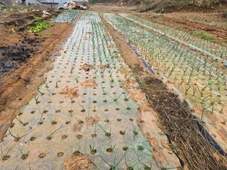 김세리님의 기타작물 · 자유게시판 작성글 사진