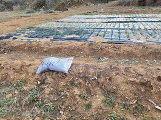 김세리님의 기타작물 · 자유게시판 작성글 사진