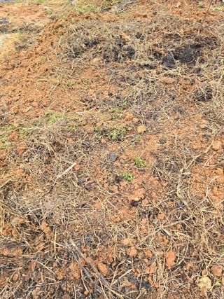 김세리님의 기타작물 · 자유게시판 작성글 사진