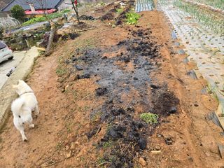 김세리님의 기타작물 · 자유게시판 작성글 사진