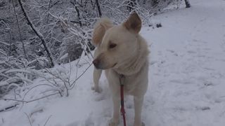 김병화님의 3월 농사 계획 같이해요 · 참여글 작성글 사진