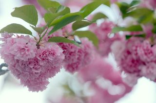 정경희님의 자유주제 · 자유게시판 작성글 사진