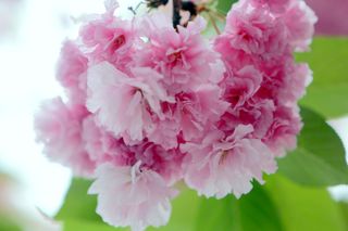 정경희님의 자유주제 · 자유게시판 작성글 사진