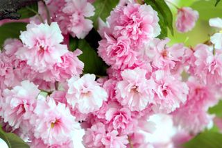 정경희님의 자유주제 · 자유게시판 작성글 사진