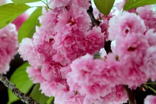 정경희님의 자유주제 · 자유게시판 작성글 사진