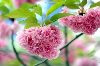 정경희님의 자유주제 · 자유게시판 작성글 사진