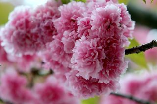 정경희님의 자유주제 · 자유게시판 작성글 사진