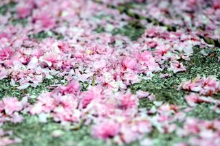 정경희님의 자유주제 · 자유게시판 작성글 사진